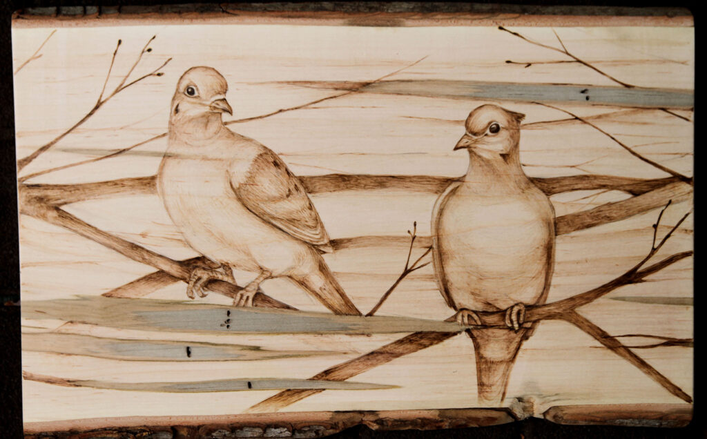 Morning Doves Pyrography on Red Maple