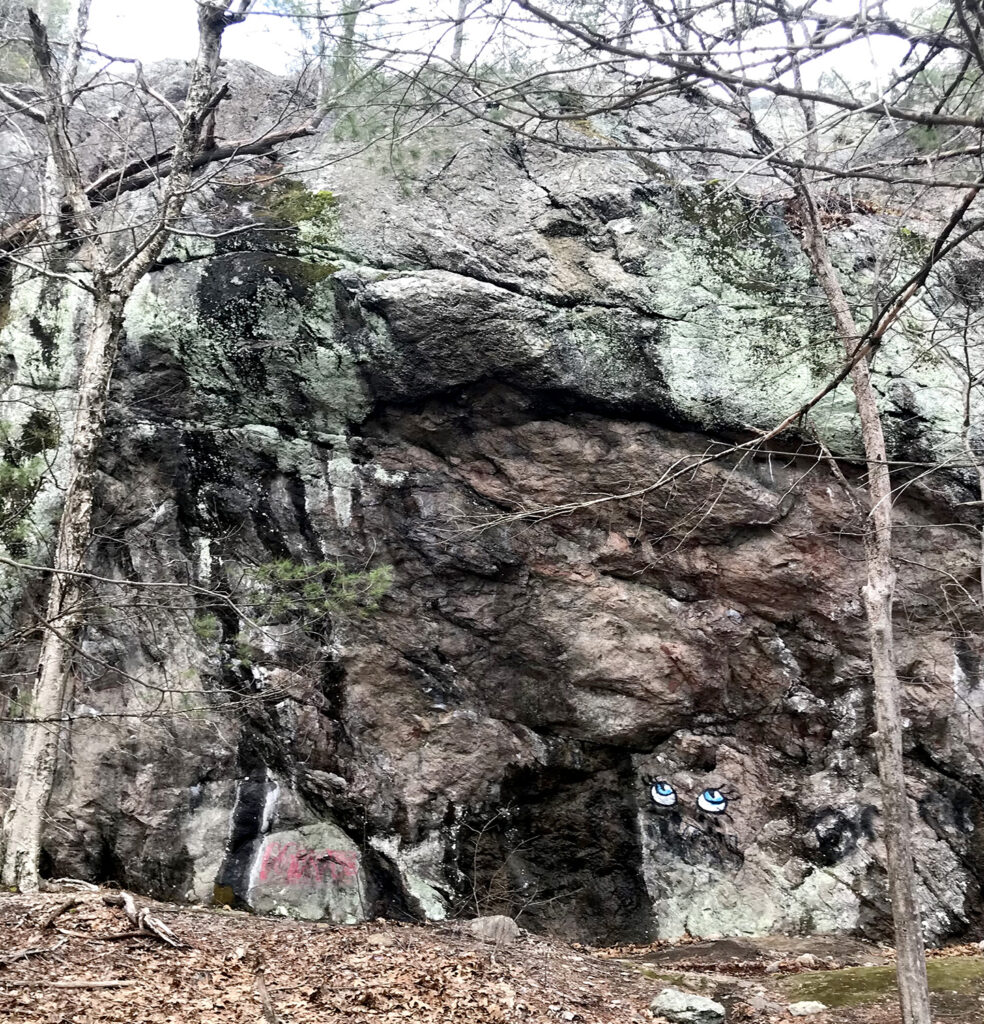 Joe's Rock Large Rock Cropping in Massachusetts