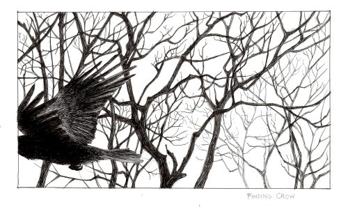 Flying crow in trees ink drawing